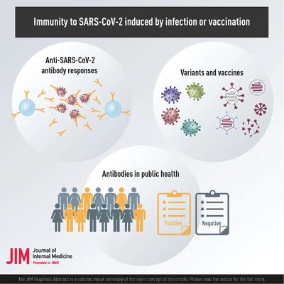 JInternMed's tweet photo. New review article from researchers at Karolinska Institutet! Immunity to SARS-CoV-2 induced by infection or vaccination
#covid19vaccines #antibodyresponses #populationimmunity
https://t.co/EbluJCvWJK https://t.co/25RKzVkL8i