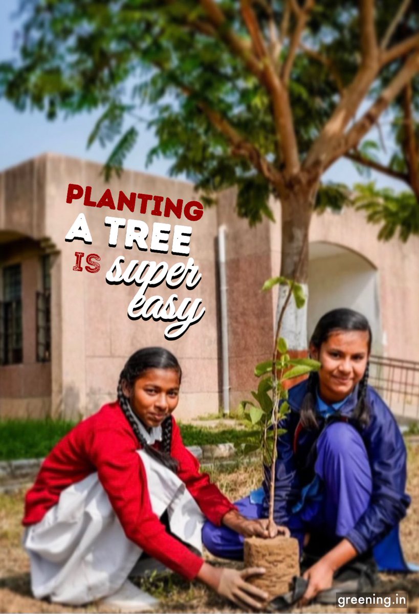 SusGreenIn's tweet photo. #FridayFeeling It’s nearly the weekend - do you have plans? How about planting a tree - it’s the easiest way to take #climateaction! And it won’t take you all weekend - just head to https://t.co/Gdtz4TiUZZ, and we’ll plant one for you! 

Please RT to spread the word! https://t.co/XzPZZoXAs3