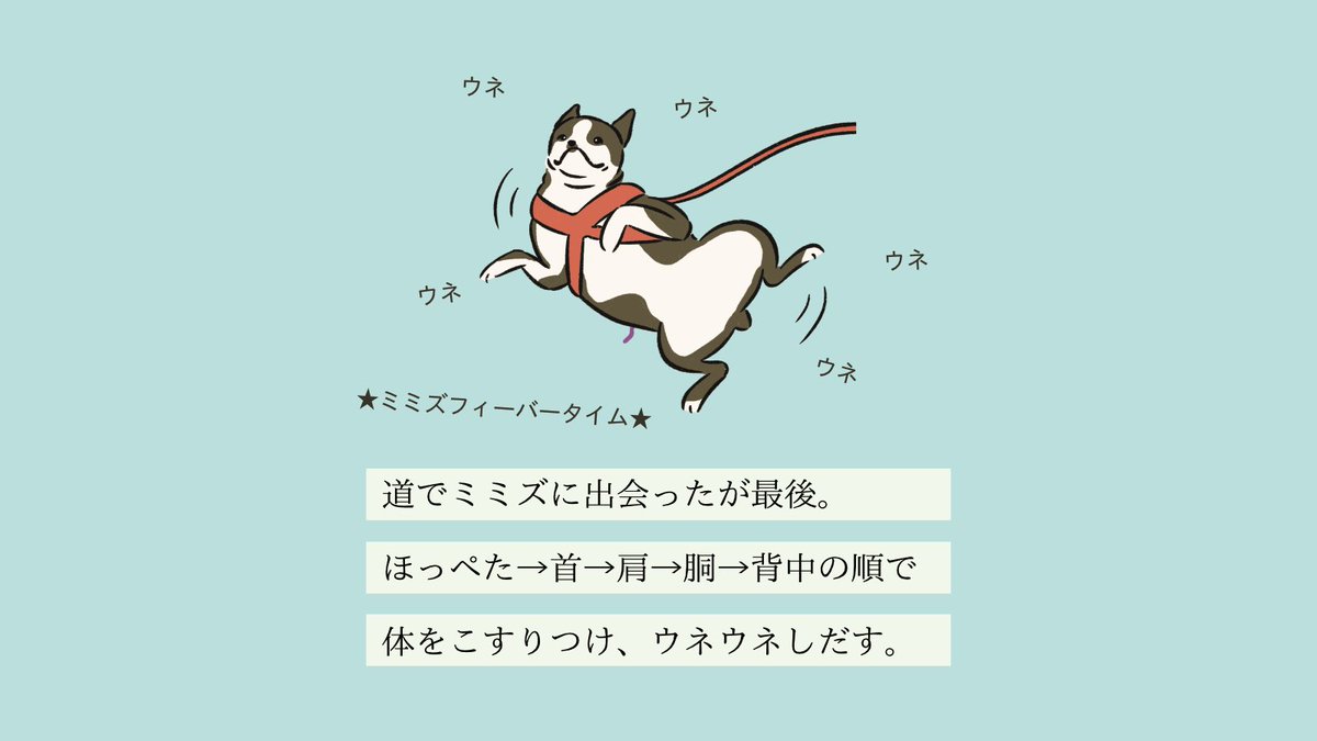 いぬころ 変な犬図鑑 書籍化 アニメ化決定 変な犬図鑑 No 0 ミミズウネリーヌ ミミズ を見つけるとウネウネしだすあの犬です いぬころ 変な犬図鑑 書籍化 アニメ化決定 変な犬図鑑 No 0 ミミズウネリーヌ ミミズ を見つけるとウネウネしだすあの犬です