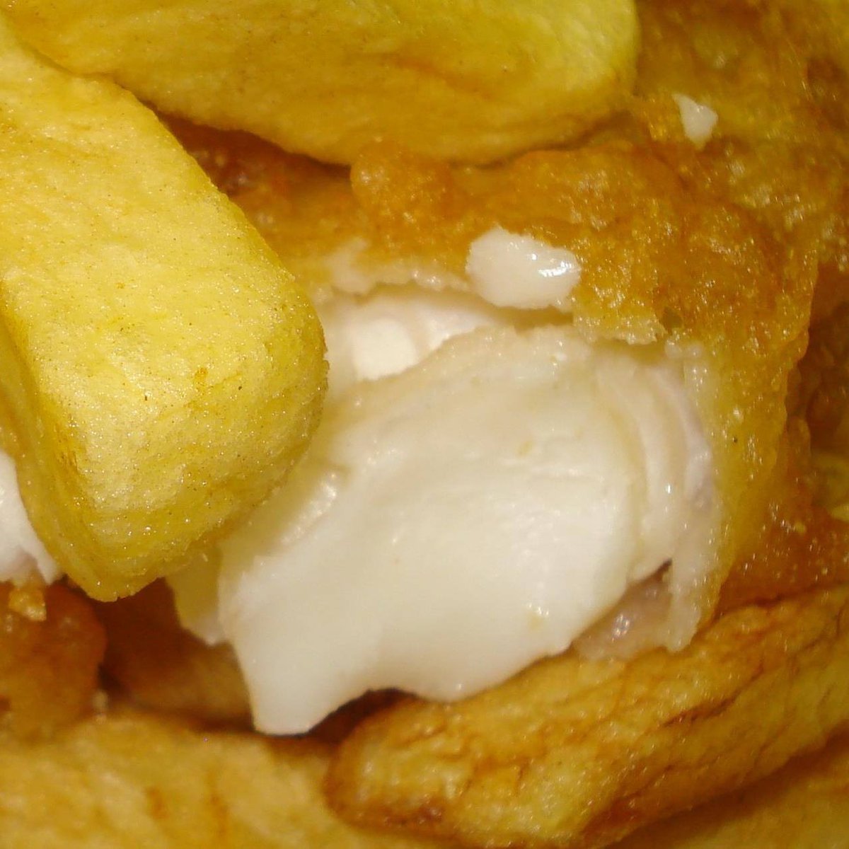 Burton Road Chippy - Lincoln tweet media