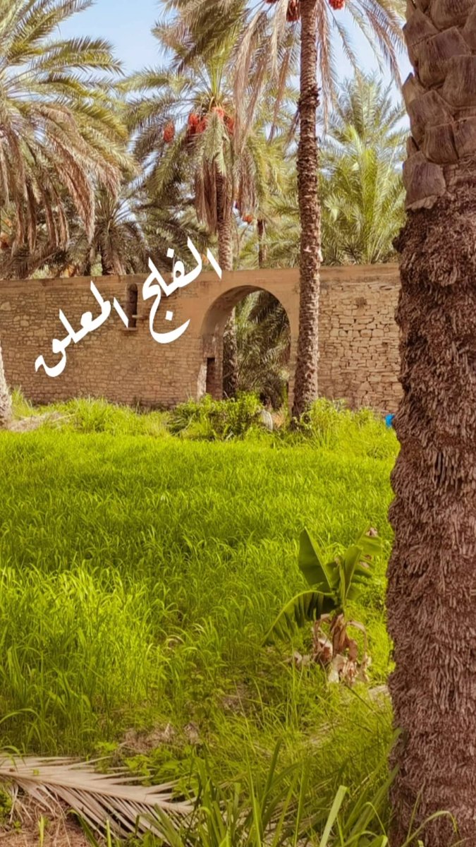adil33555's tweet photo. الفلج المعلق ببركه الموز https://t.co/YgN9r0dOQd