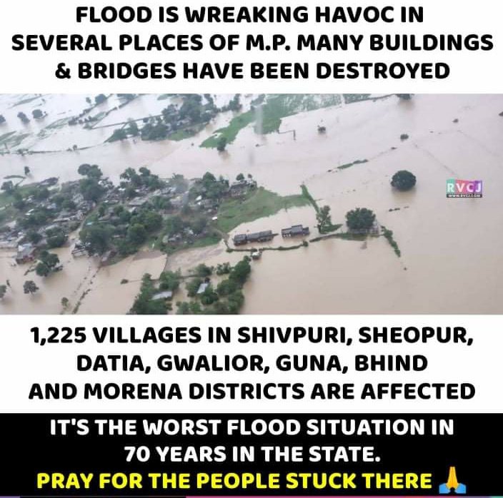 NUSA_NEETUG's tweet photo. It's the worst flooded situation in 70 years in Madhya Pradesh. Shivpuri,Sheopur,Datia,Gwalior,Guna,Bhind &amp; Morena districts are badly affected. @dpradhanbjp ji , please extend the last date of NEET UG registration by 2 weeks and postpone NEET till October. #PostponeNEETUG https://t.co/KIPdK2HSw3