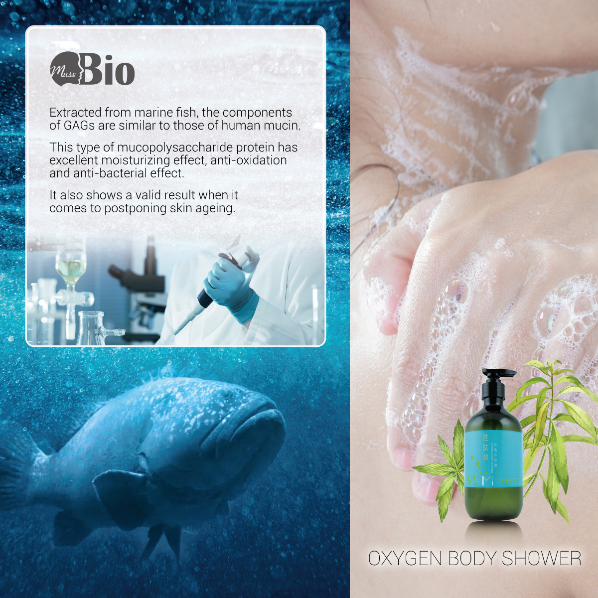 TopWellCosmetic's tweet photo. 【MUSE BIO Oxygen Body Shower】

The shower gel formulated with Glycosaminoglycan deriving from giant groupers, mildly cleanse with well-hydrated and anti-oxidant properties. 

#Glycosaminoglycan #peptide #BodyShower #HOMESPA #skincare #Topiclear #TOPGEL #TOPWELL #TAIWAN https://t.co/pSyiBuX9HY