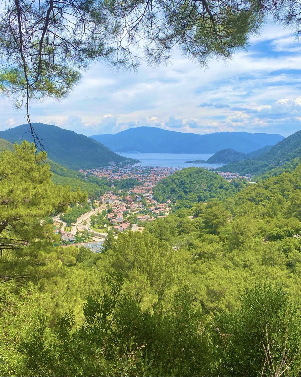 Unb33's tweet image. الصورتين بينهما اسبوع واحد فقط!
حرائق غابات تركيا  🔥😮