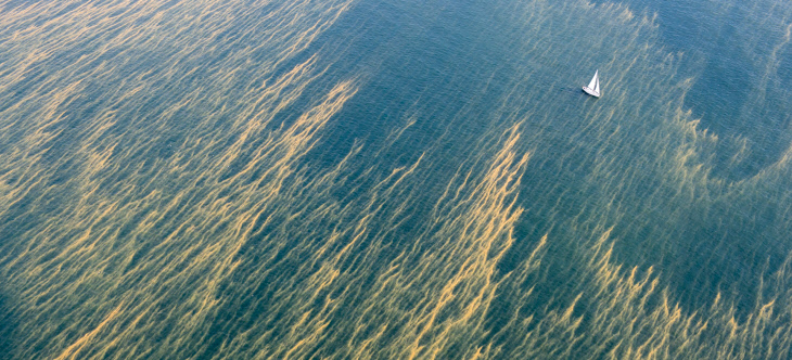 "Förhoppningen är att väcka tankar, sprida kunskap och nyfikenhet om Östersjön (...) Östersjön har enorma utmaningar med övergödning, utfiskning och miljögifter men det finns faktiskt vissa tecken på återhämtning." <a href="/j_hammar/">Johan Hammar</a>, fotograf &amp; biolog, om utställningen "Östersjön".