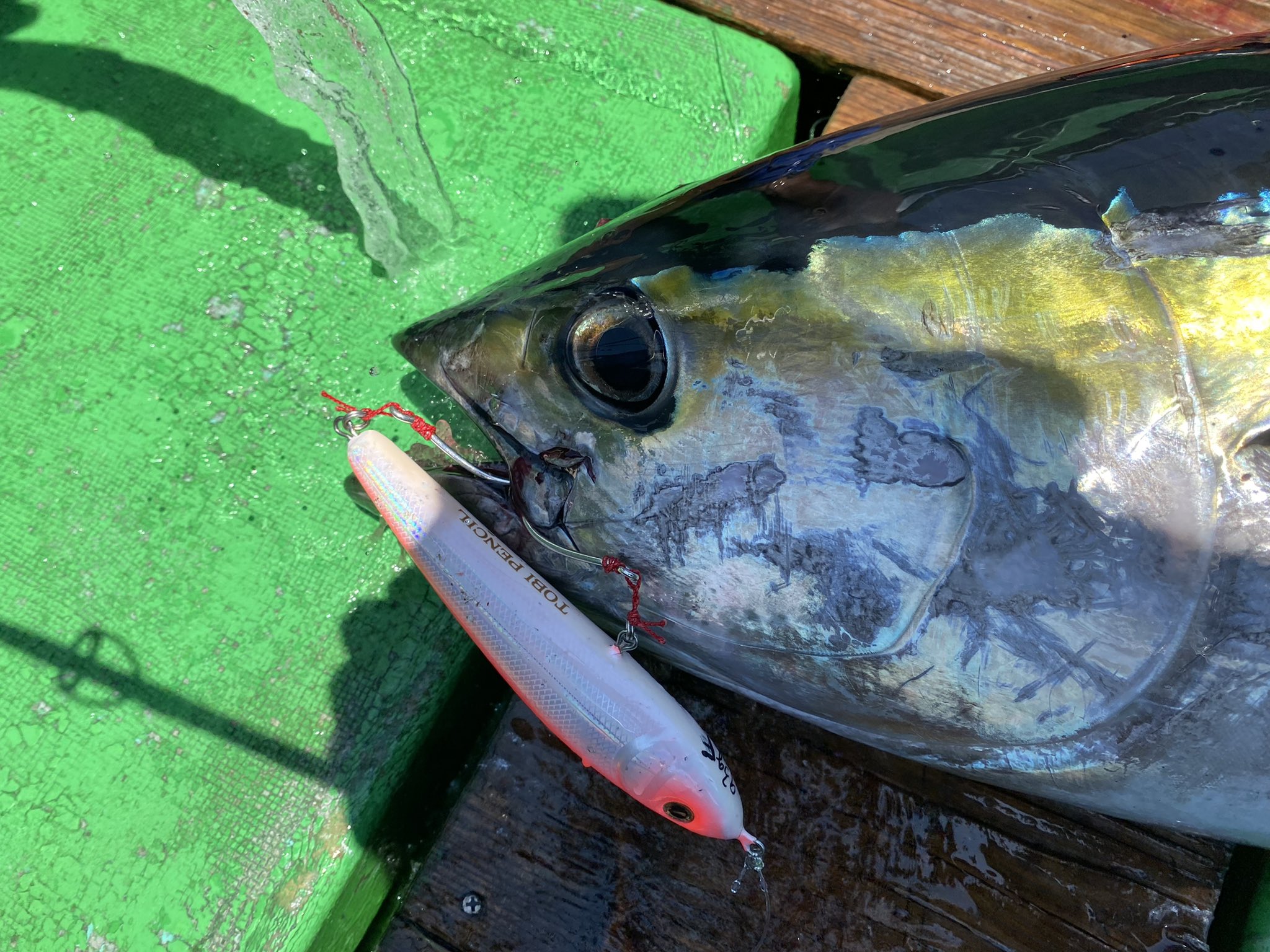 Okuyama 30年前のルアーで27歳の息子がマグロを釣った 温故知新か T Co Nb4n4xah92 Twitter