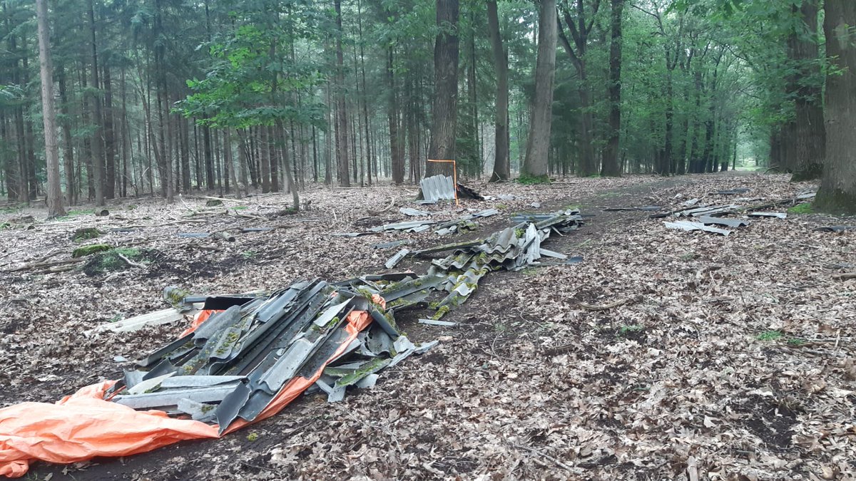 Natuurtoezicht Staatsbosbeheer Gld tweet media