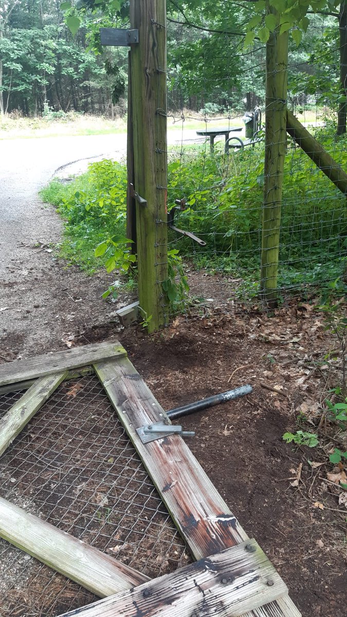 Natuurtoezicht Staatsbosbeheer Gld tweet media
