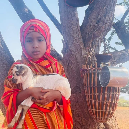MohamoudFahmo's tweet photo. ii sheeg wax ka qurux badan sawirkan. Dhaqanka Soomaaliya ayaa ugu fiican.
#Somalia #Dhaqankeena #Puntland #Somaliland #Koonfurgalbeed #Hirshabelle #Galmudug #Banadir #Mogadishu. https://t.co/OpH3cmB5Rb