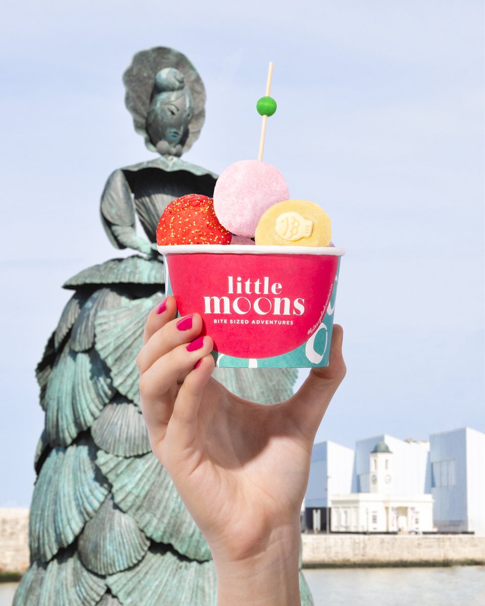 Little Moons Mochi Littlemoons Twitter