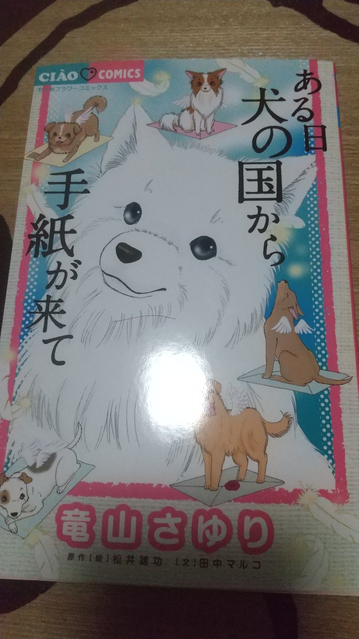 犬の本 Twitter Search Twitter