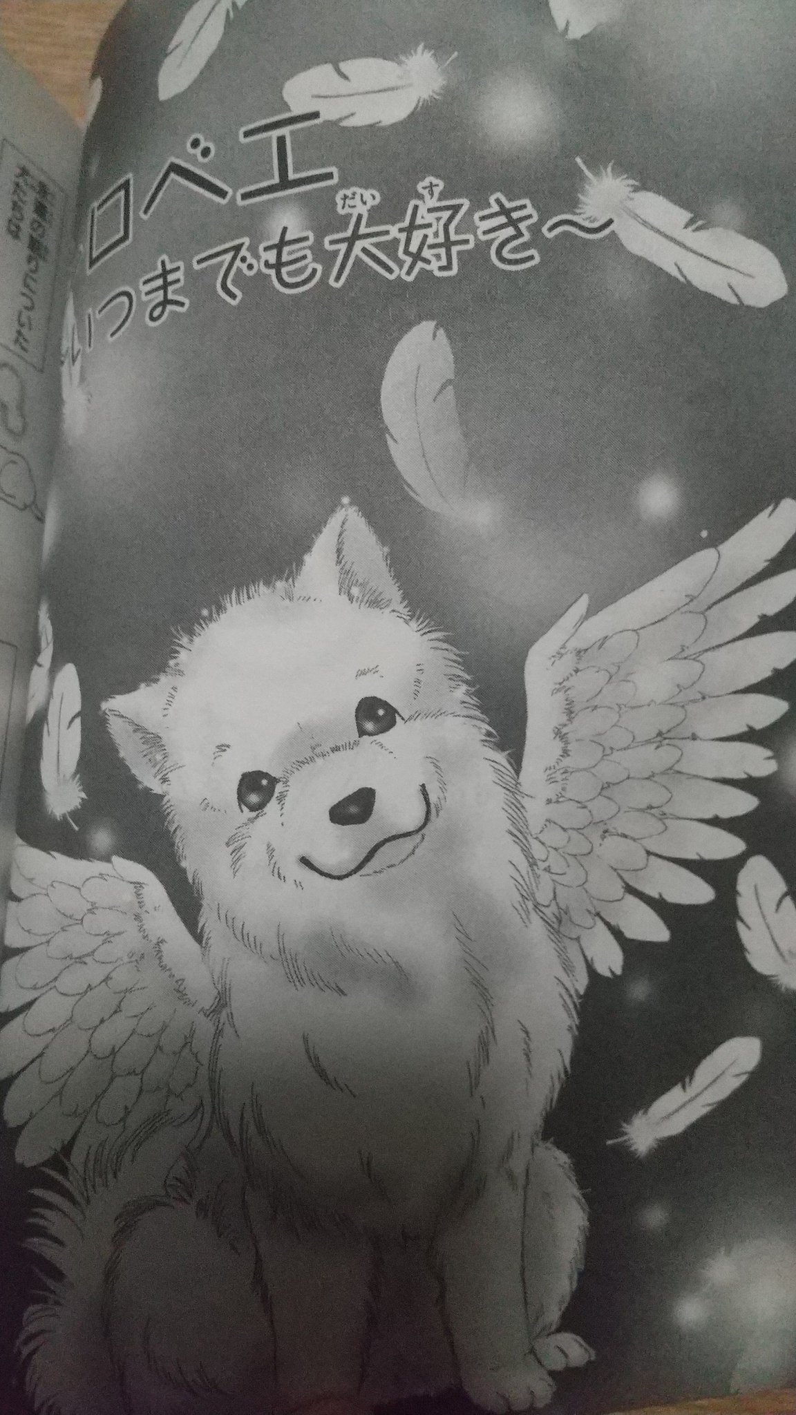 犬の本 Twitter Search Twitter