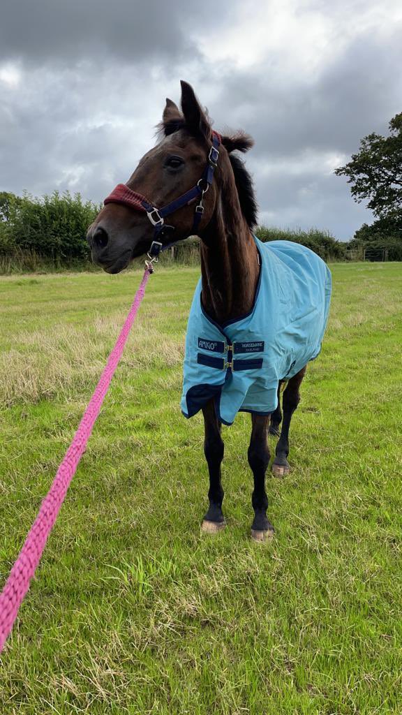 <a href="/WSFRS_TRU/">WSFRS_TRU</a> Animal rescue -Horse stuck in river Arun. On a very wet afternoon 29 year old Ingrid found herself up to her neck in water. With veterinary assistance from Sussex Equine Hospital Ingrid was successfully returned to her owner. <a href="/WestSussexFire/">West Sussex Fire & Rescue Service</a>