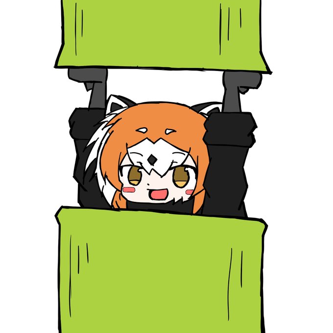 レッサーパンダ 