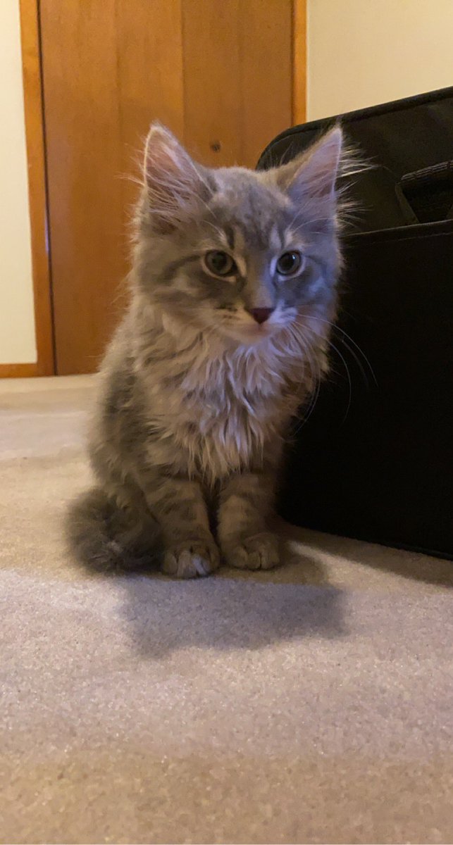 Mo 🤸🏻‍♀️ tweet media