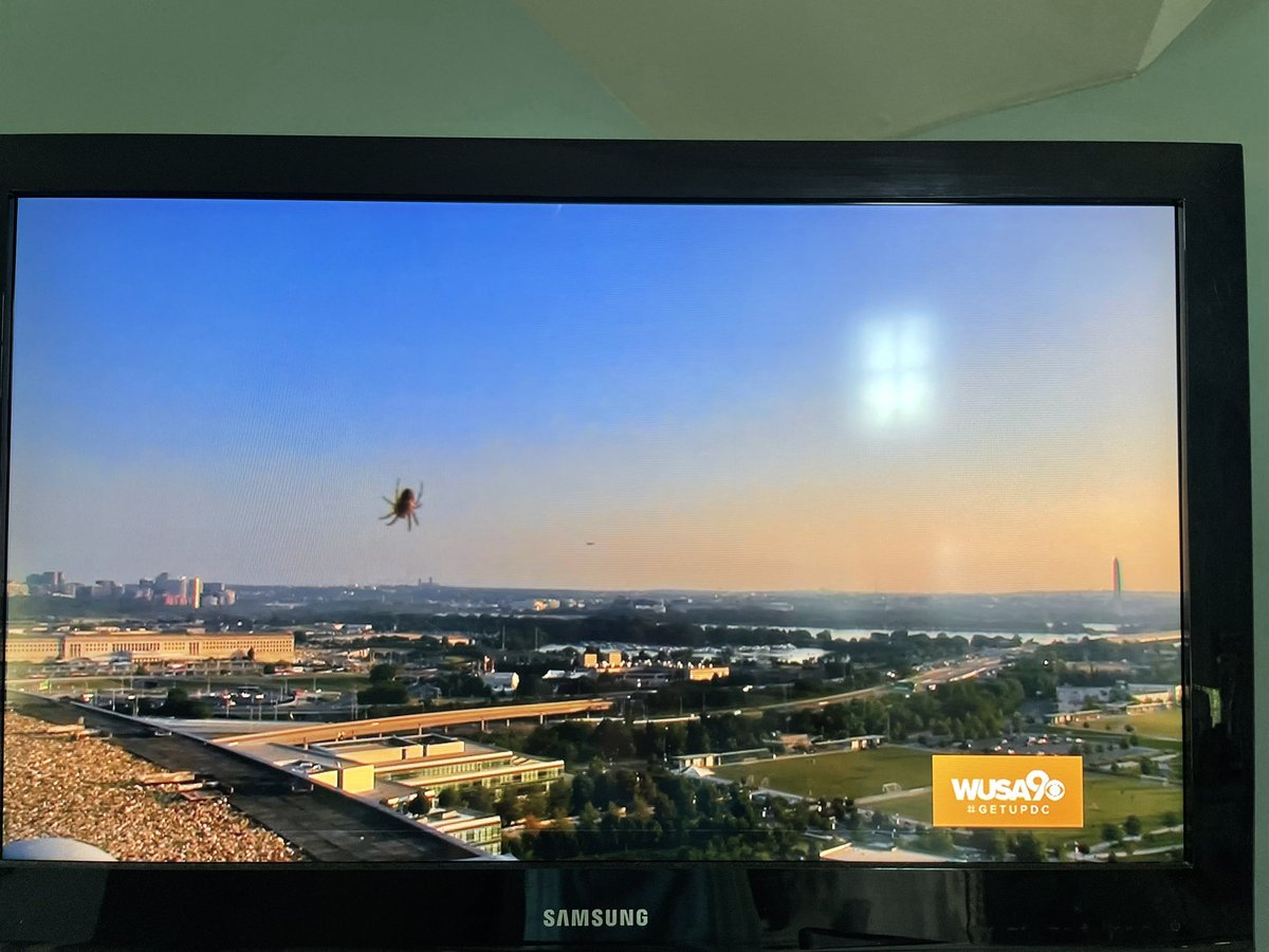 I just turned on @CBSThisMorning and the weather camera from @wusa9 was up with a giant spider in the shot and I thought it was IN MY HOUSE and just spent the last five minutes running in circles and having hysterics