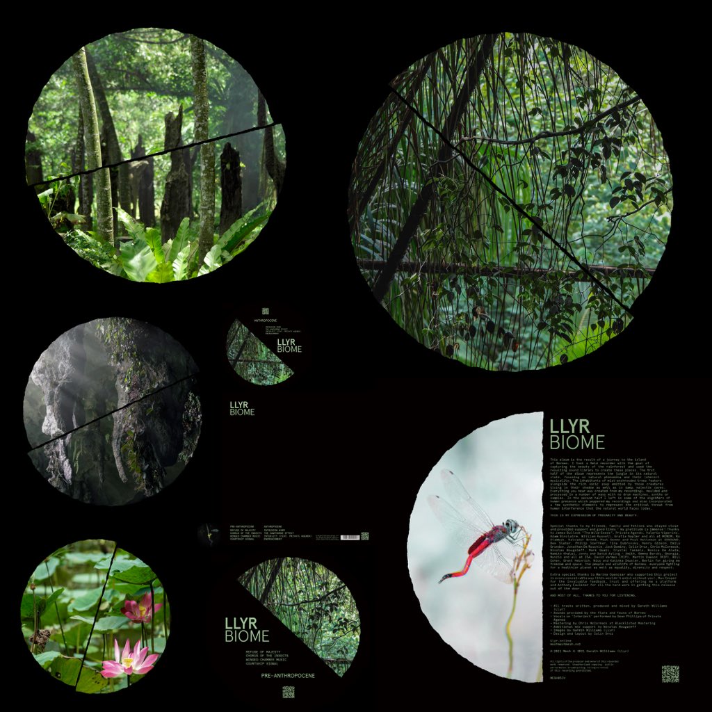 llyr1101's tweet photo. Today is #BandcampFriday - the best day to directly support artists &amp; labels

Check out Biome &amp; 3D Reworks 003 on @mesh_label, explore the whole Mesh catalogue, support ALL your fave artists and labels &amp; dive into musical wormholes &amp; EXPLORE new things.

https://t.co/cbHd7uR9LQ https://t.co/FvKZlCiwuI