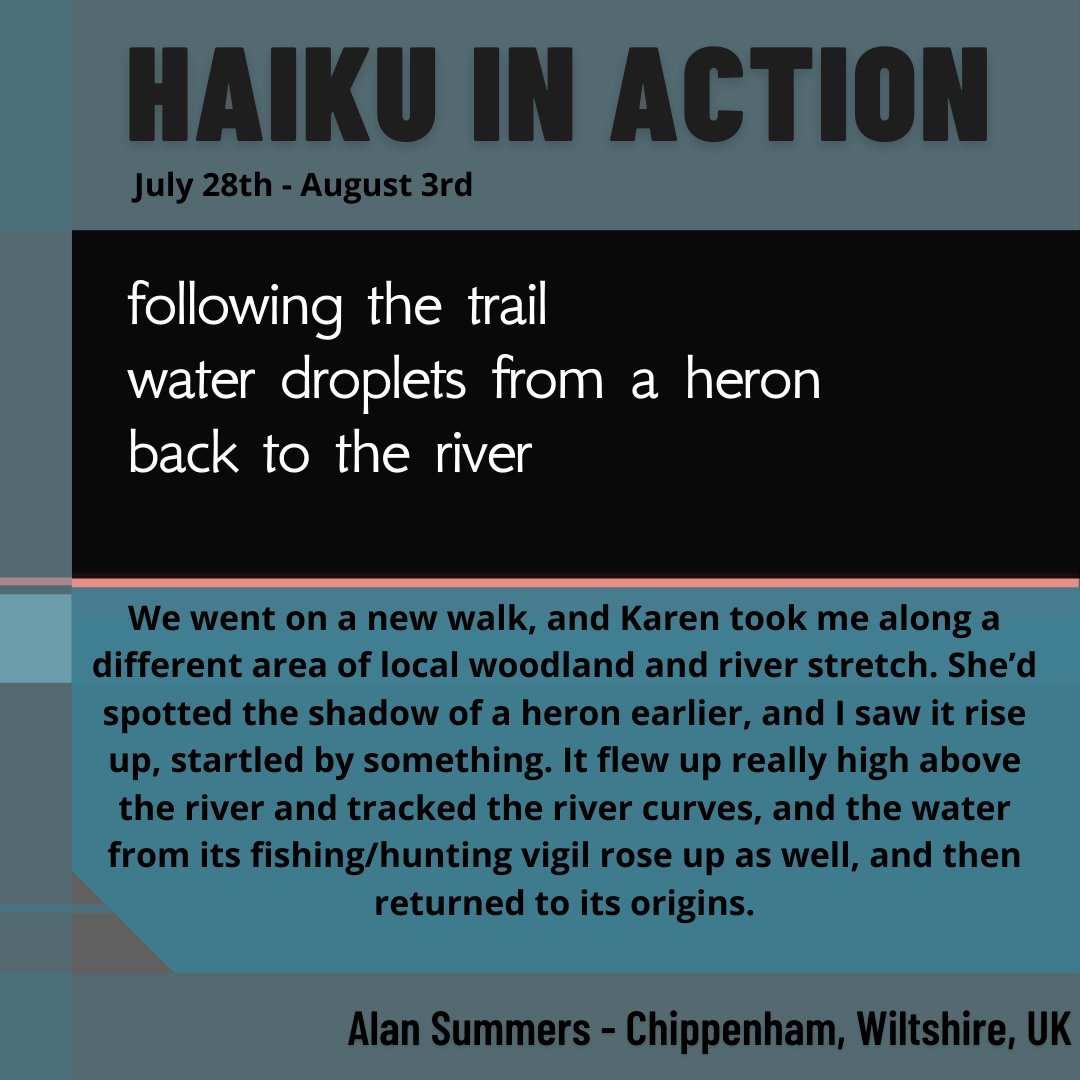 Alan Summers (@haikutec) on Twitter photo Delighted to have one of my wildlife #haiku taken by <a href="/NVWritersHouse/">Nick Virgilio Haiku Association</a> thank you! Delighted to have one of my wildlife #haiku taken by <a href="/NVWritersHouse/">Nick Virgilio Haiku Association</a> thank you!