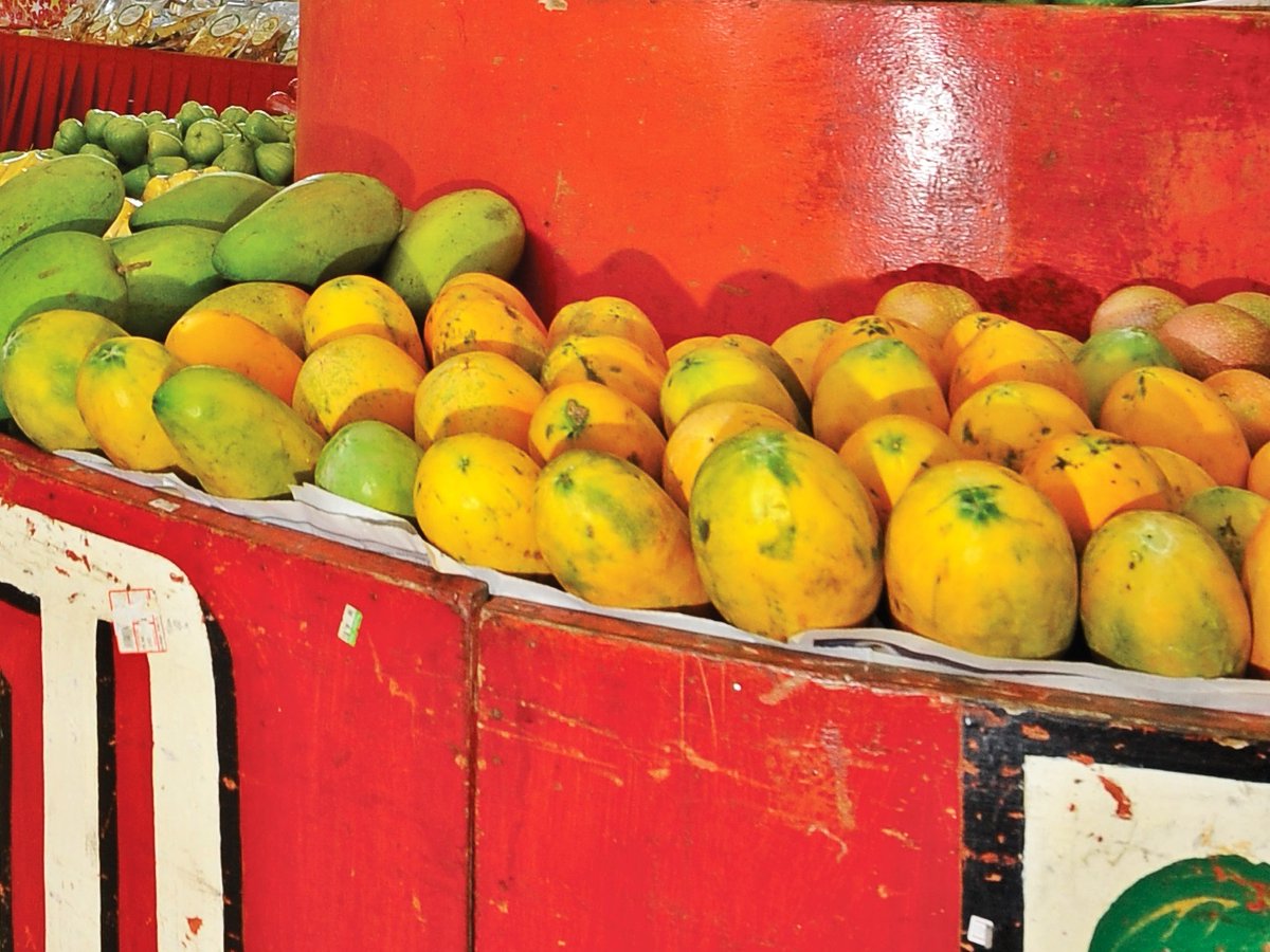 パパイヤの日 Twitter Search