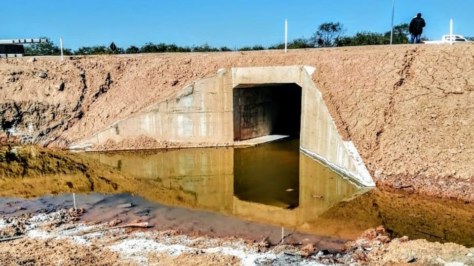 delpynews's tweet image. ▶️ ECO | 🌿

🛣La renovada Ruta PY09 #Transchaco prevé 39 pasafaunas para evitar que las especies silvestres del Chaco Paraguayo, algunas en peligro de extinción como el jaguarete&apos;i, oso hormiguero y el aguará guazú, sean atropellados al intentar cruzar la ruta.