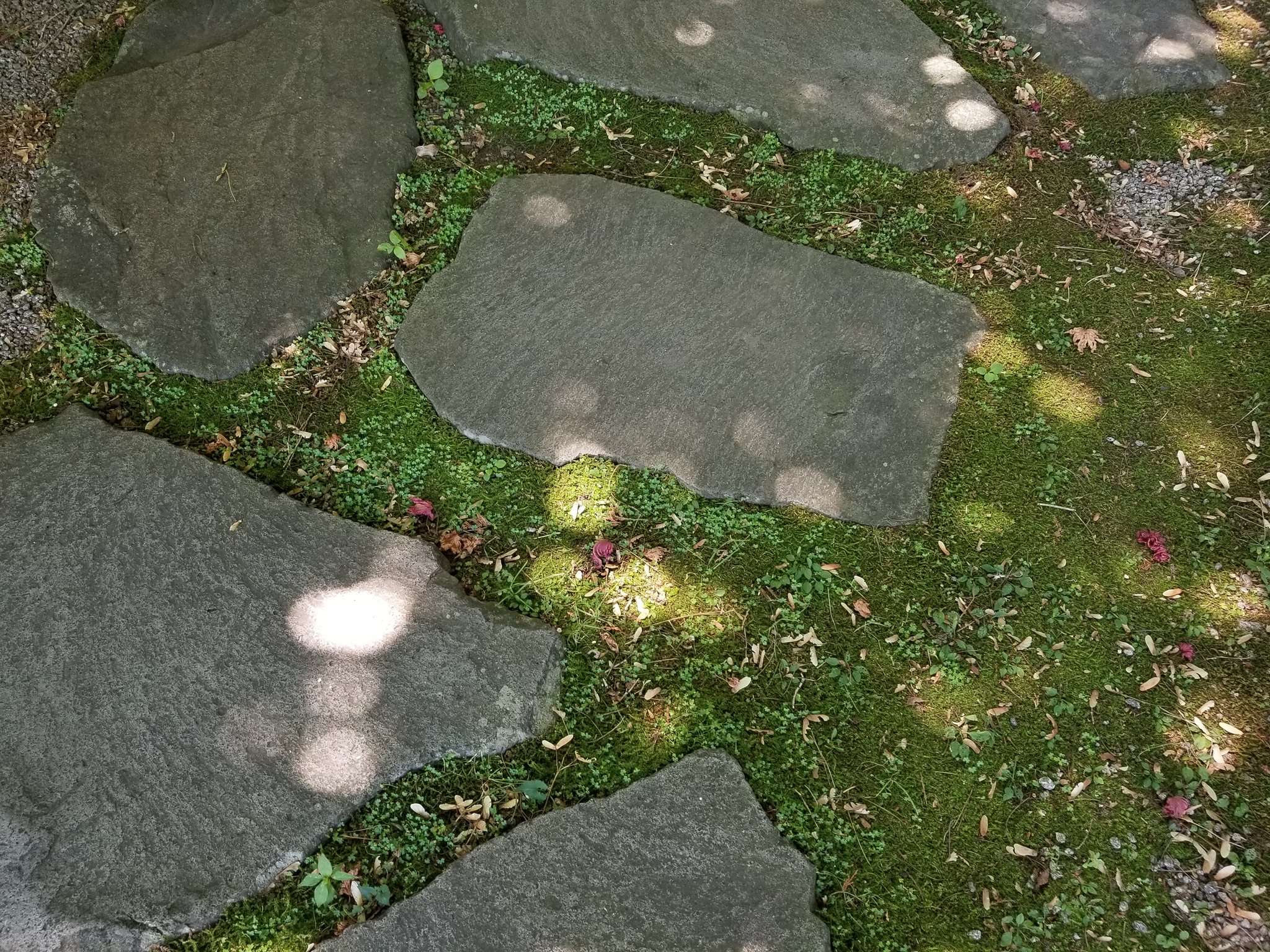 ピンホール現象 Twitter Search Twitter