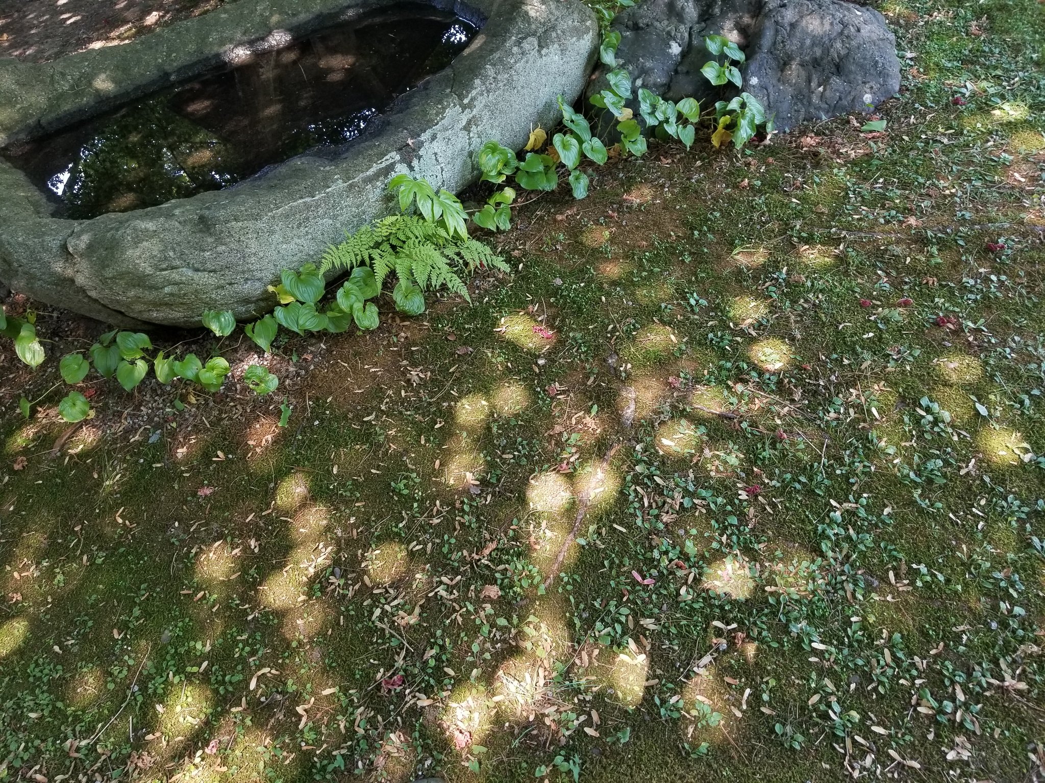 ピンホール現象 Twitter Search Twitter