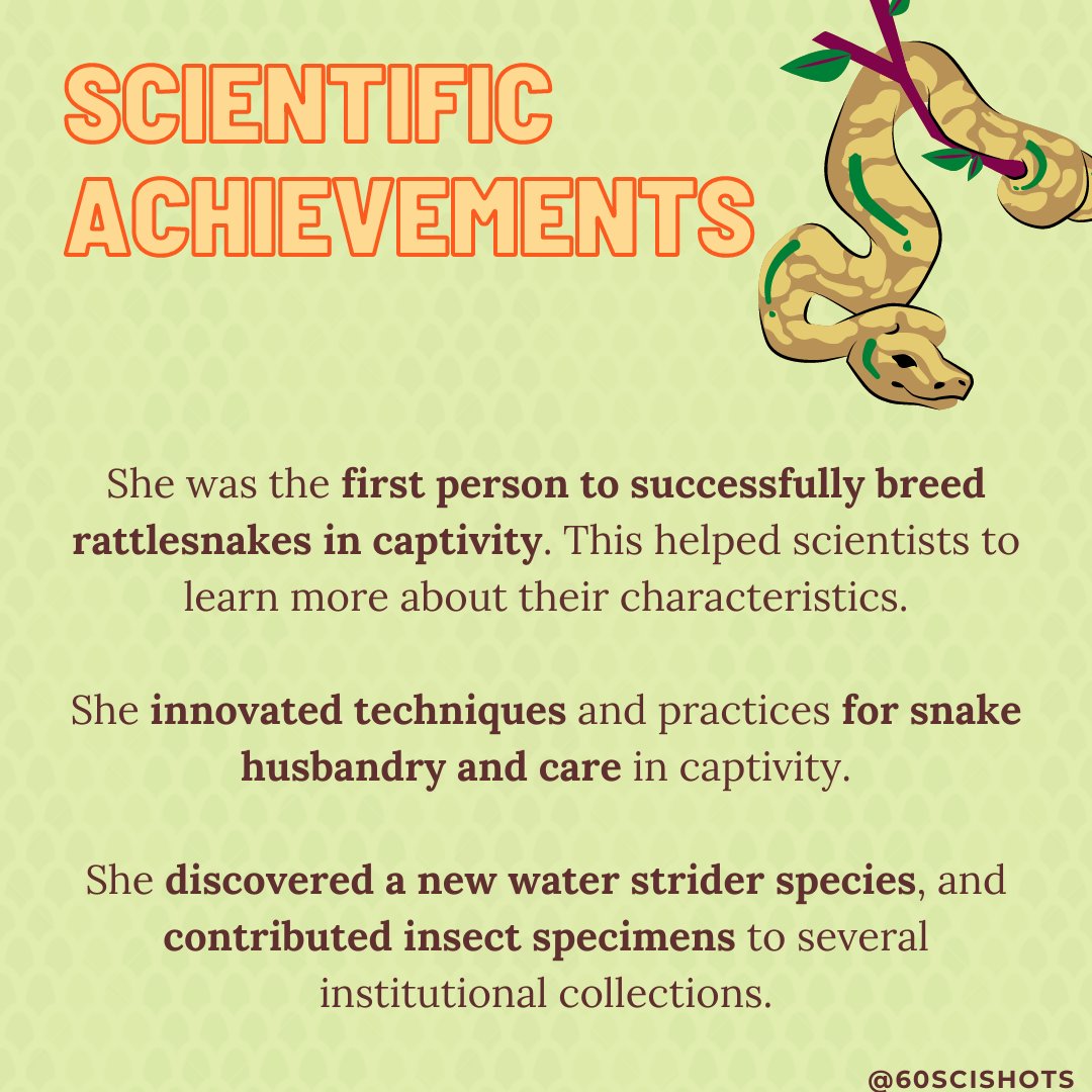 60SciShots's tweet photo. She'ssss a sssensational ssssnake expert - it's Grace Olive Wiley! Our #FemaleFriday post for today follows her journey from idyllic green to the silver screen!#snake #Grace #Hollywood #Python #Tarzan #Jungle #cobra #WomenInSTEM #innovations https://t.co/NPCjfzYXF2