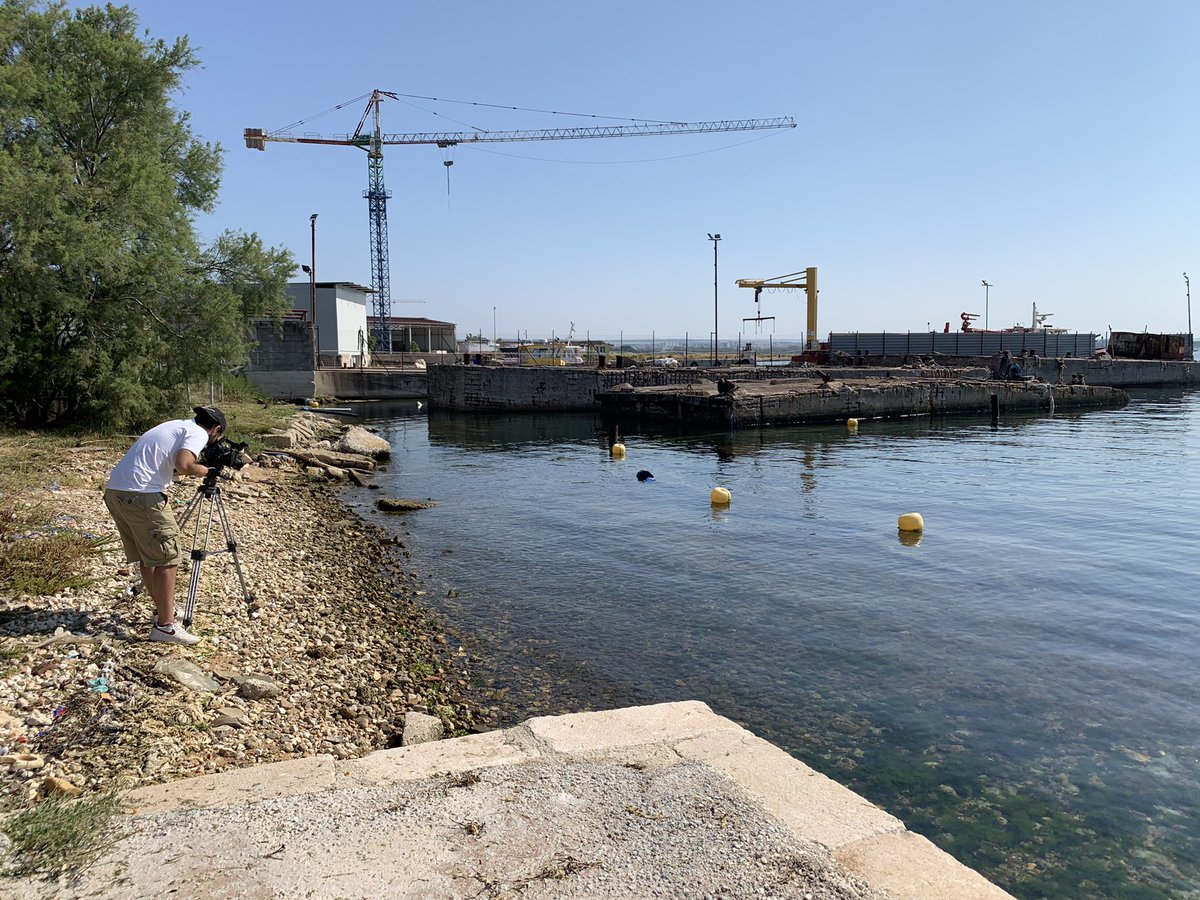 Life4MarPiccolo tweet media