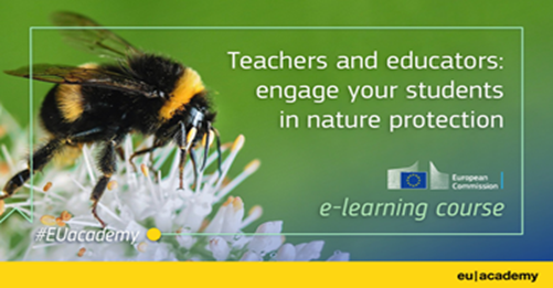 GabrielMariya's tweet photo. Are you a teacher? ✅
Do you want your #students to know more about 🇪🇺's #biodiversity? ✅🐝

Check out the #EUacademy e-course! 🎓
Participants can learn, discover, explore &amp; engage in #CitizenScience activities &amp; earn a participation certificate! 📜

➡️https://t.co/ofJ1ZRLfAV https://t.co/FrGvtvjvhS