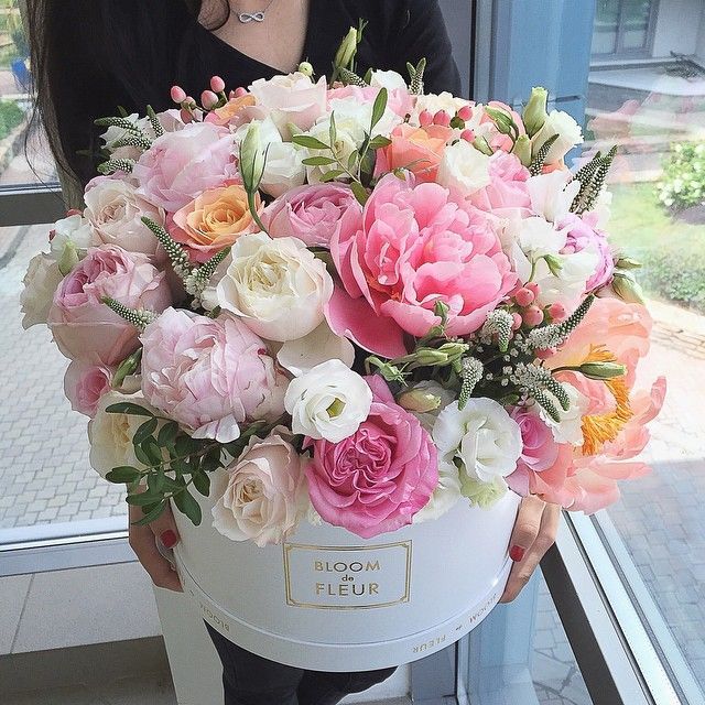 DeansFlowersDXB's tweet photo. I Fiori.
Rendono incantevole ogni luogo, superflua ogni parola. https://t.co/nBEILwduYe