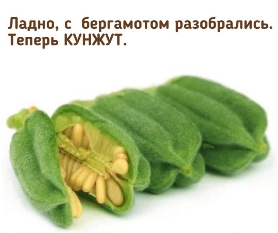 Пьяный Твиттер tweet media