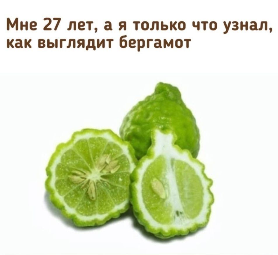 Пьяный Твиттер tweet media