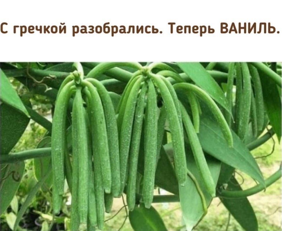 Пьяный Твиттер tweet media