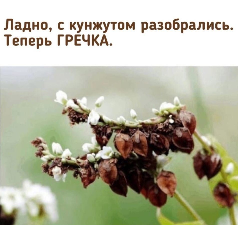 Пьяный Твиттер tweet media