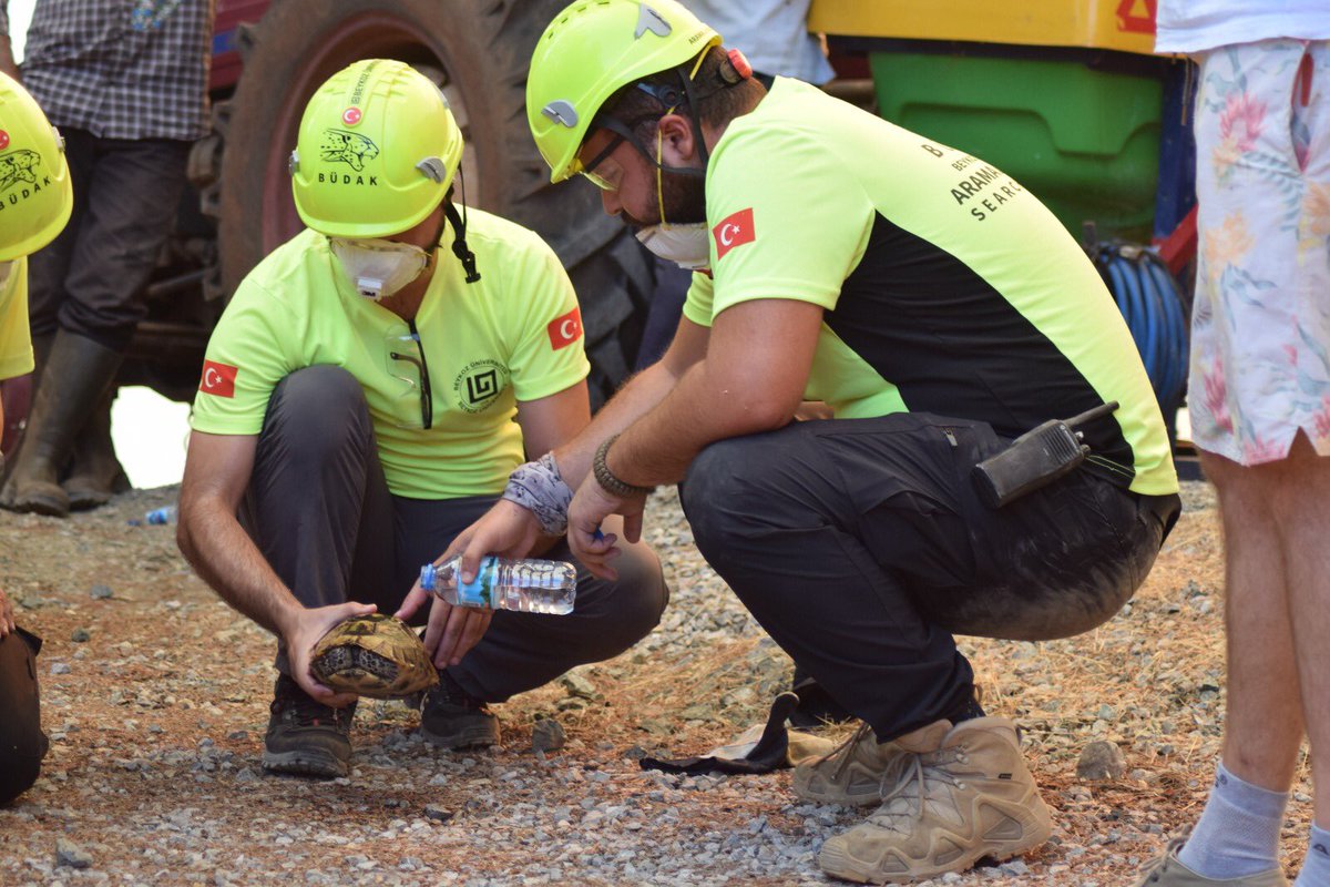 2 gün önceki Köyceğiz Karayel Mevkii bölgesi çalışmalarımızdan.. Hiç bir zaman belki bu yangını unutamayacağı yaralar almış olsa da dostumuz yaşıyor #beykozüniversitesi #büdak #KöyceğizYanıyor #TuerkiyeYanıyor #MuglaYanıyor