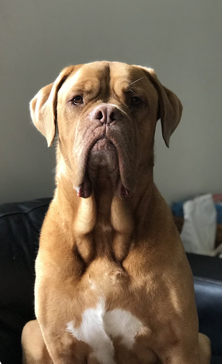 Kris Brown tweet media