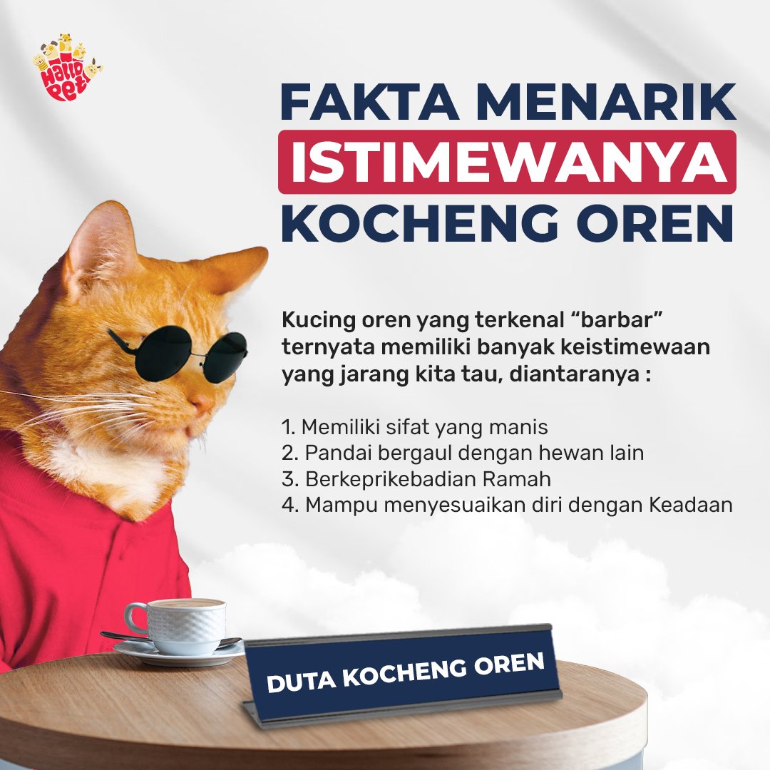 hallopetid's tweet photo. Hallo Sahabat
Kali ini kita mau bahas keistimewaan yang dimiliki kucing oren atau akrab disapa dengan nama jalanan ‘kocheng oren’.

Yuk simak kira-kira apa aja sih keistimewaan yang dimiliki kucing oren.

#hallopetid #funfact #kucingoren #kucinggemes #SKCK #linkedin https://t.co/7VqRZytEzt