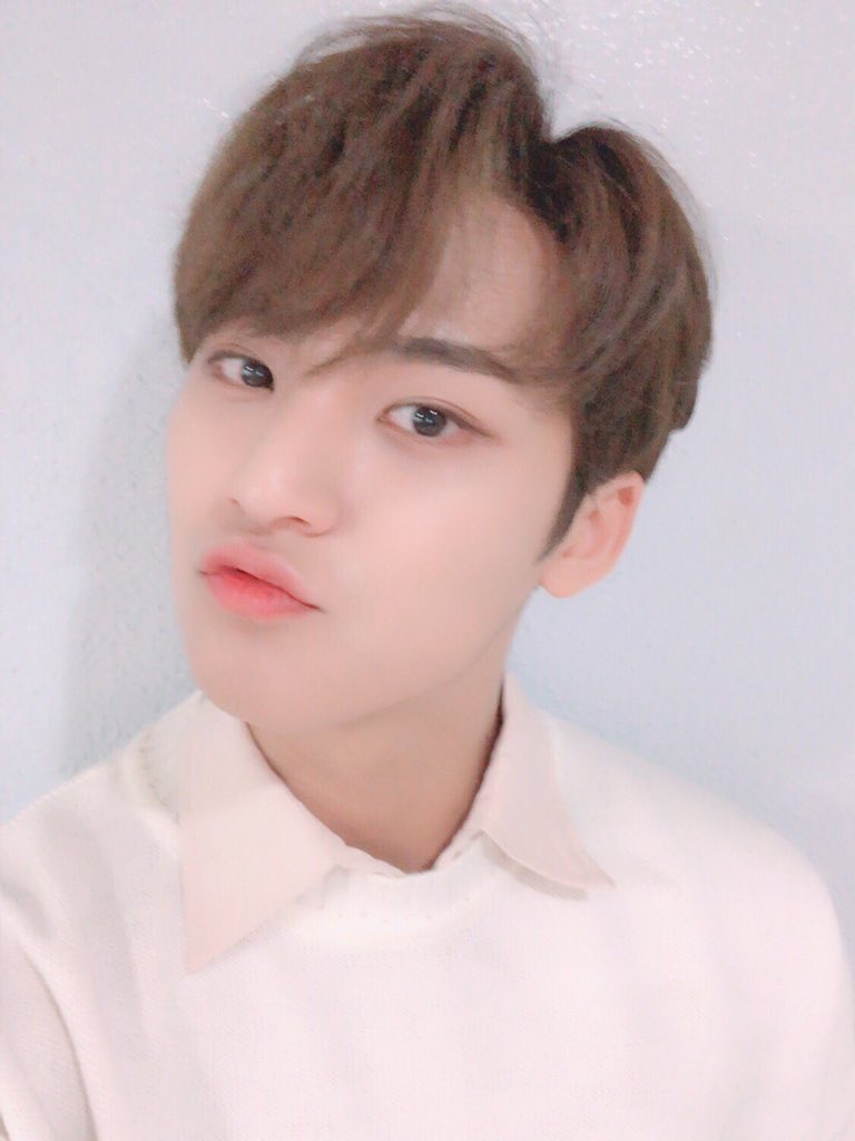 gyuselfies's tweet photo. https://t.co/L3O3yduY84
