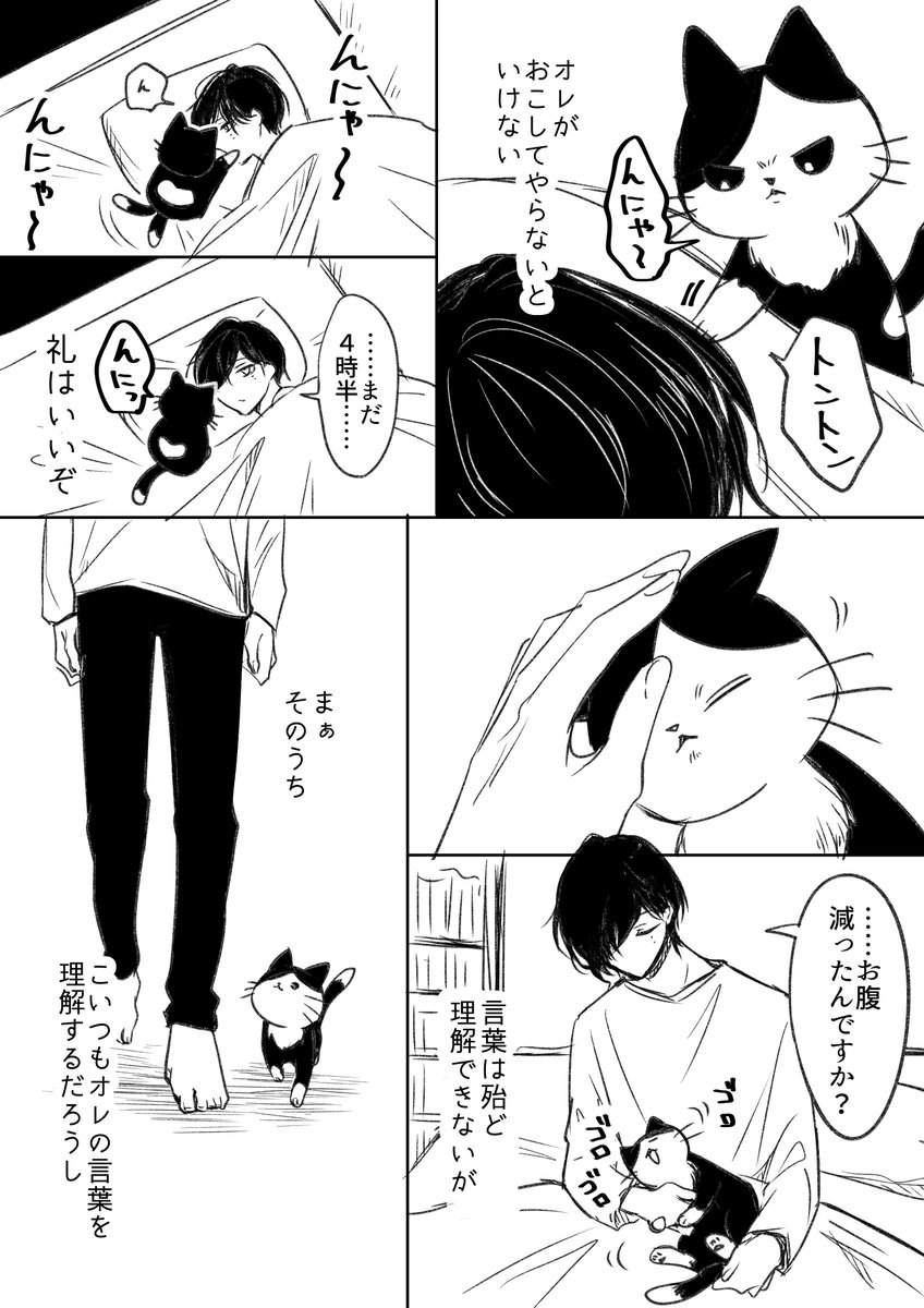 天虎くんと猫。 