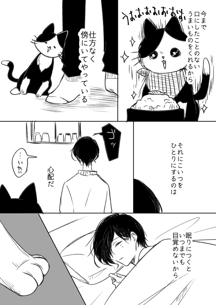 天虎くんと猫。 