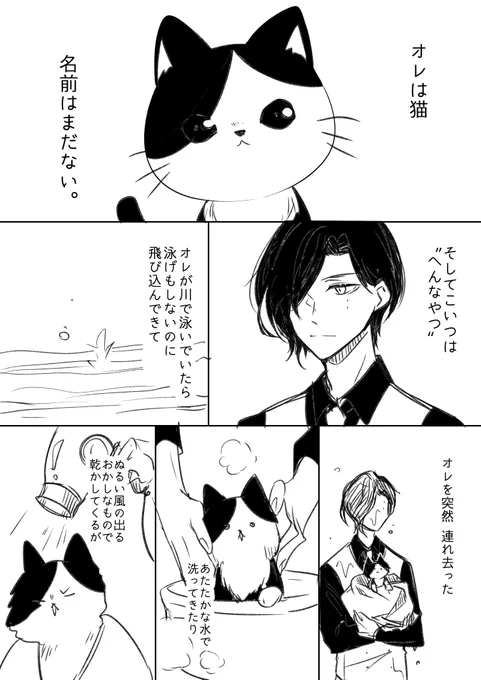 天虎くんと猫。 