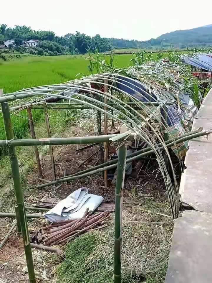 2021Revtweets's tweet photo. Locals in KhaLian village, Muse Tsp have to flee for their safety since Evil SAC are firing heavy artillery shells into the village.
SUPPORT NUG
#Aug6Coup 
#WhatsHappeningInMyanmar https://t.co/qaPJFIbNYr
