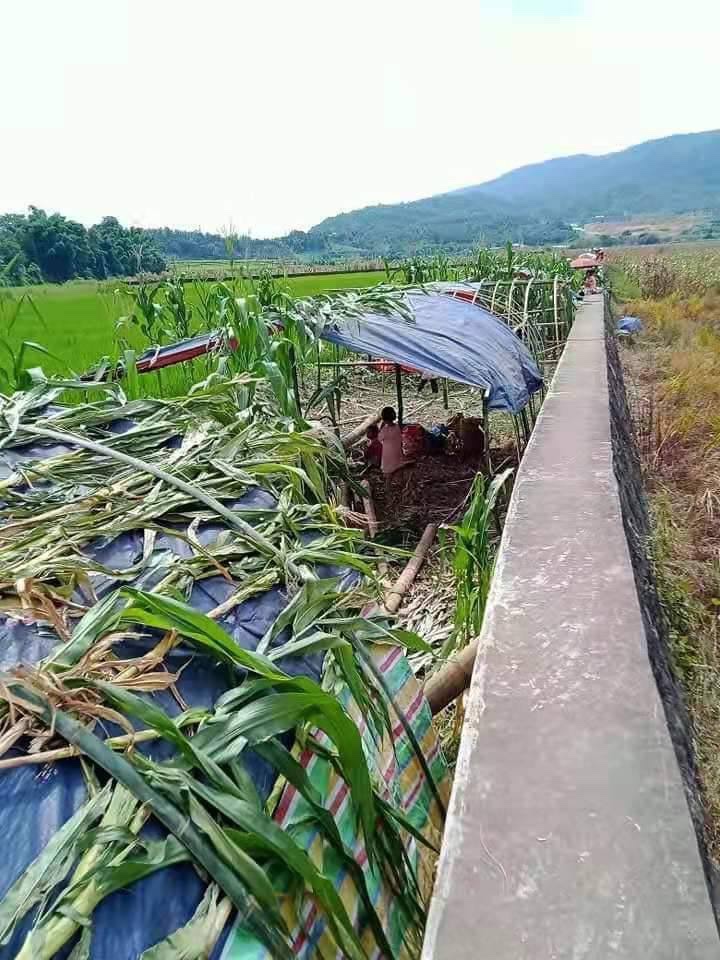 2021Revtweets's tweet photo. Locals in KhaLian village, Muse Tsp have to flee for their safety since Evil SAC are firing heavy artillery shells into the village.
SUPPORT NUG
#Aug6Coup 
#WhatsHappeningInMyanmar https://t.co/qaPJFIbNYr