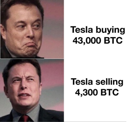 BitCoBrown tweet picture