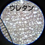 フィッシュ竹中さん 聖徳太子は人魚と面会 人魚のために寺を建てたりしてる伝承という元ネタがあるのを知る人は少なめ 話題の画像がわかるサイト フィッシュ竹中さん 聖徳太子は人魚と面会 人魚のために寺を建てたりしてる伝承という元ネタがあるのを知る人は少なめ 話題の画像がわかるサイト
