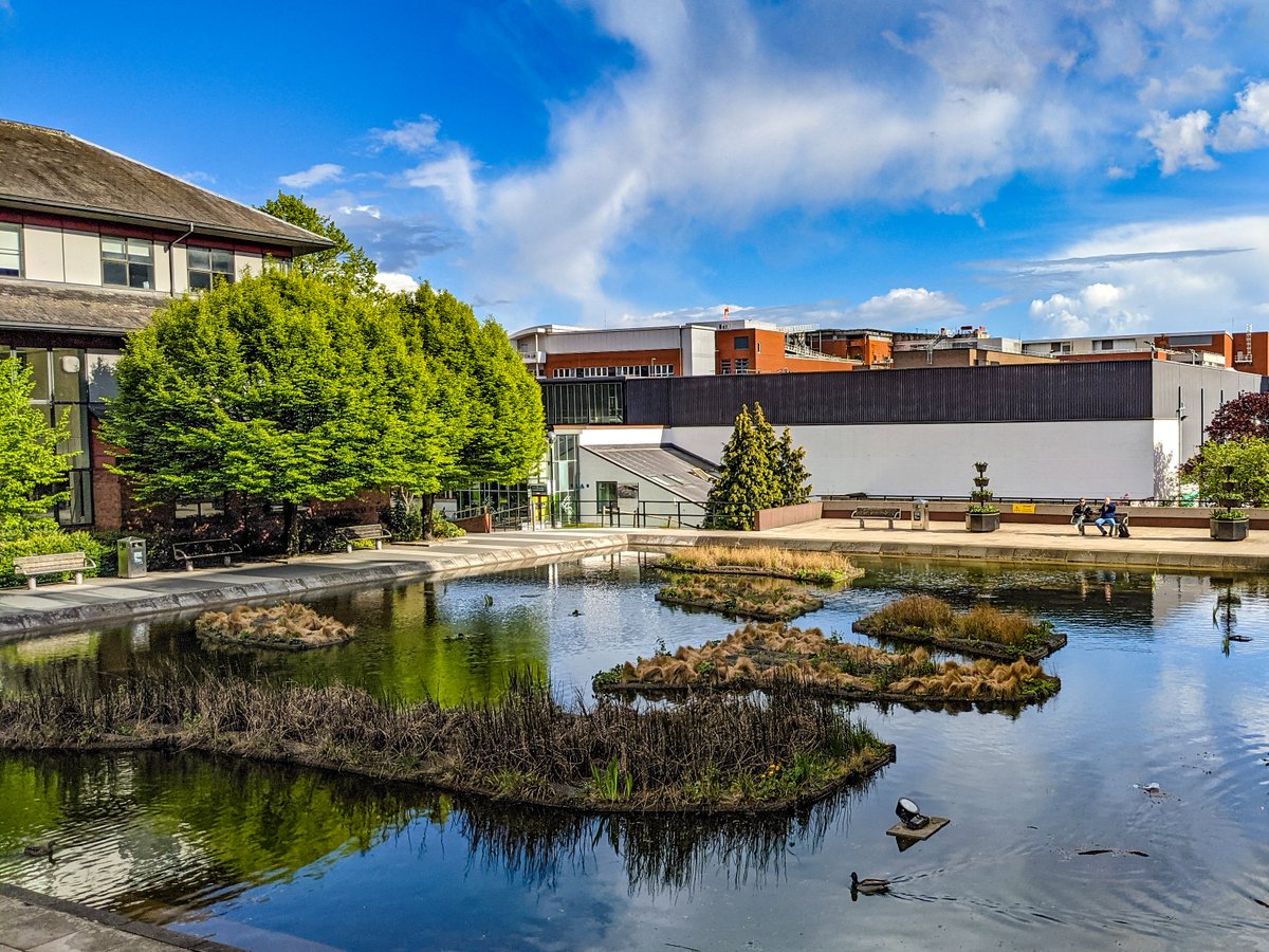 UoLStudents's tweet photo. Nature walks, kayaking, free food and kung fu! Keep scrolling to see what you can get involved in on campus next week #SummerInLeeds😎
➡️https://t.co/Wgf4lW6PhV https://t.co/CBb2u3gl8L