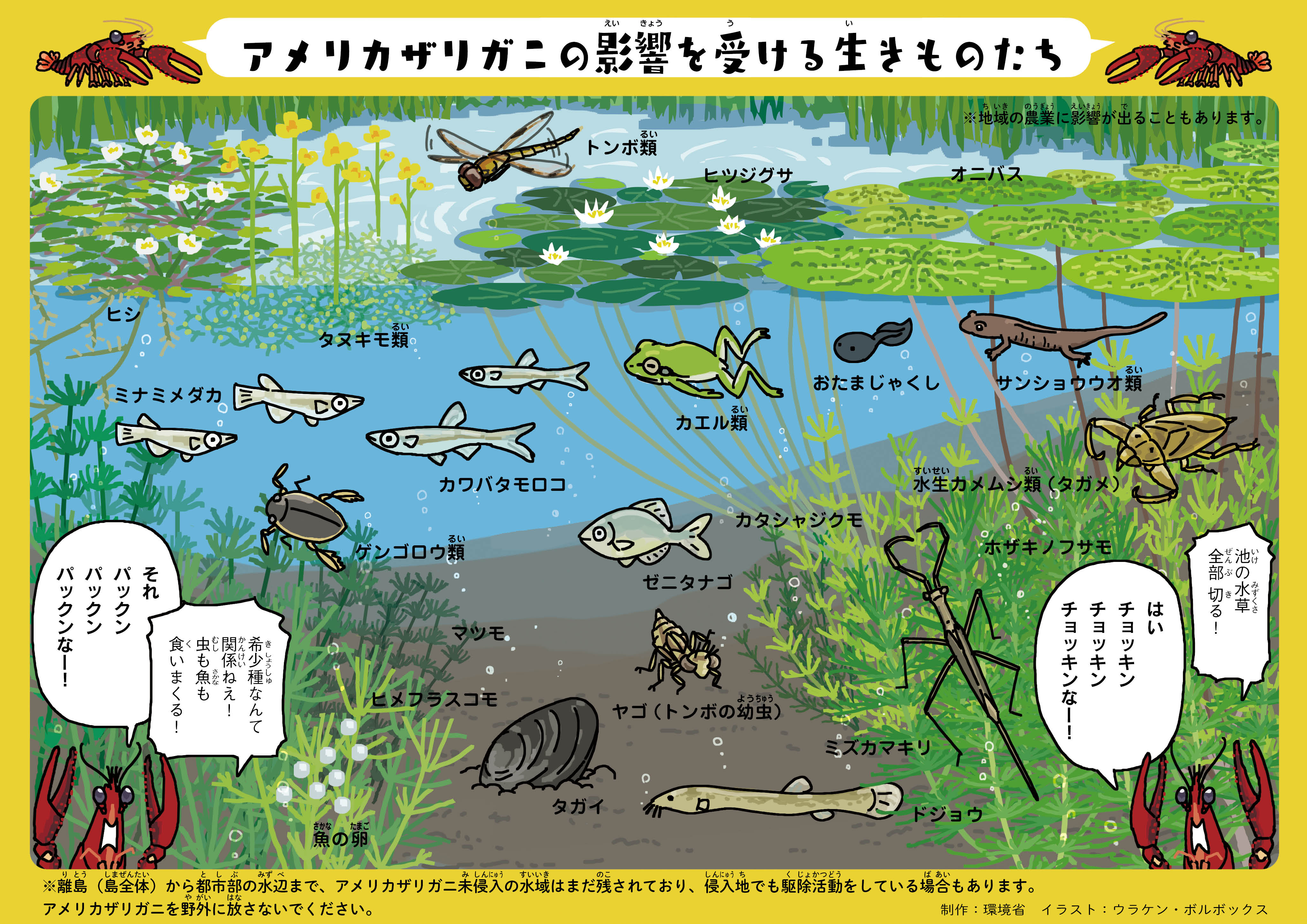 環境省 入れない 捨てない 拡げない アメリカザリガニ 第3弾 池で大暴れ 水草チョッキン 希少種パックン 脅かされる在来の生き物たち 甚大な影響を受ける生き物をイラストで紹介 T Co 3rqsqzc9xl アメザリ ザリガニ T
