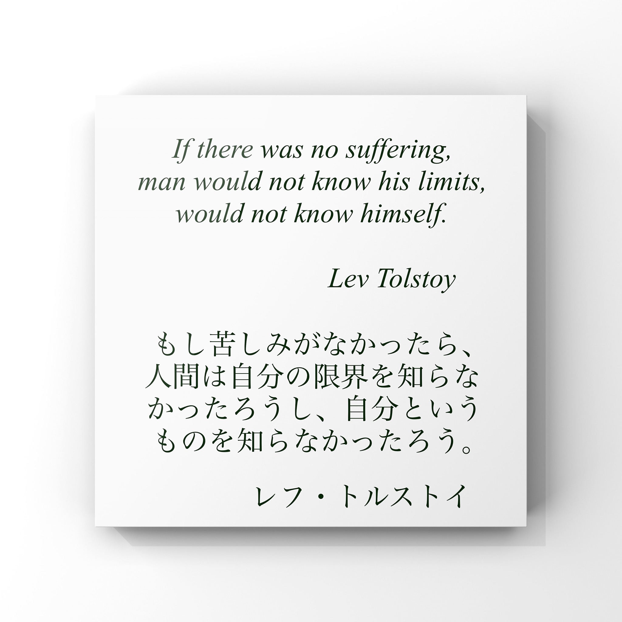 旧ゆったり名言書写 No 455 本日の名言は レフ トルストイの言葉です ゆったり名言書写 T Co Ear1cv9p9o Twitter