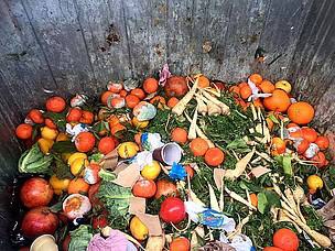 ToastAle's tweet image. New research from @wwf_uk suggests that #foodwaste accounts for approx 10% of all greenhouse gas emissions. 
“To achieve a meaningful reduction, national governments and market actors must take action...”
It’s #TimeToRiseUp✊
wwf.panda.org/wwf_news/?3211…