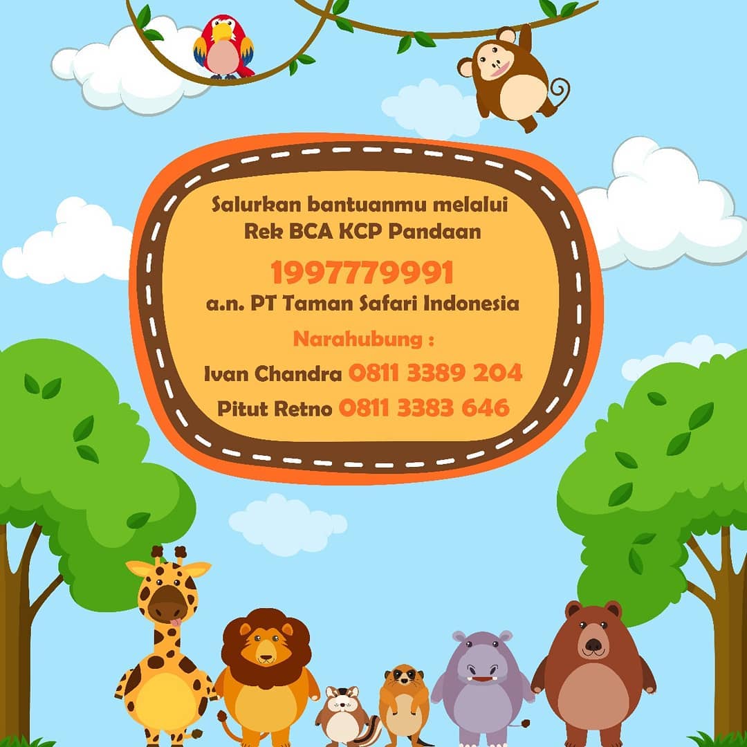 ideakreasi2's tweet photo. Taman Safari Prigen Butuh Support https://t.co/6Mv1To7EFz